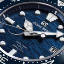 Grand Seiko Evolution 9 - Bild 2