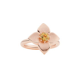 Roségold, Ringe, Bron Poppy Ring, Ref: 8RR4918MCI