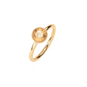 Rotgold, Ringe, Schmuckwerk Glasklar Ring, Ref: DR1067-RG