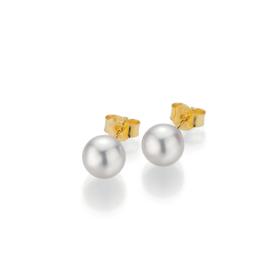 Gelbgold, Ohrringe, Gellner BASICS Ohrstecker 5-22550-03