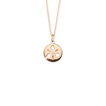 Sand Dollar Anhänger Medium