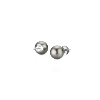Ohrringe, Weißgold, Gellner Basics Ohrstecker