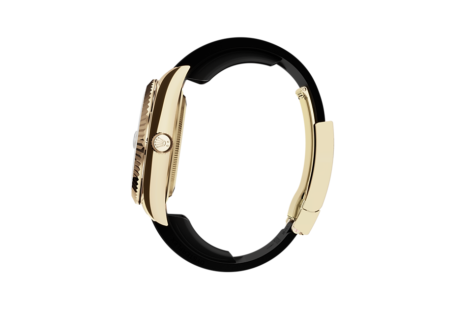 Rolex Sky‑Dweller in Gold, M336238-0002 | Juwelier Michels