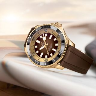 Michels Superocean Blog 2
