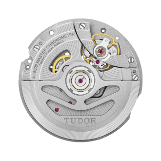 JuwelierMichels TUDOR BlackBay9