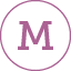 icon_michels icon michels
